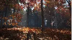 theHunter: Call of the Wild - New England Mountains DLC - irongamers.ru