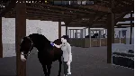 Unbridled: That Horse Game 💎 АВТОДОСТАВКА STEAM GLOBAL МГНОВЕННО ЛИЦЕНЗИЯ