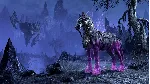 ⭐ The Elder Scrolls Online - Noweyr Pack DLC Xbox Serie - irongamers.ru