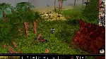 ⭐ Neverwinter Nights: Enhanced Edition - Pirates of the - irongamers.ru