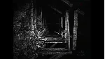 [REC] Desolation АВТОДОСТАВКА STEAM GLOBAL МГНОВЕННО ЛИЦЕНЗИЯ