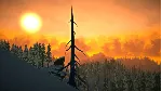 The Long Dark Epic Games АККАУНТ НОВЫЙ+ПОЧТА - irongamers.ru