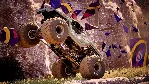 MONSTER JAM SHOWDOWN - BIG AIR EDITION XBOX ONE/X|S - irongamers.ru