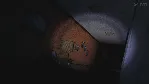 Five Nights at Freddy&acute;s 4 XBOX На Любой Регион - irongamers.ru