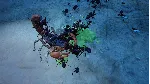 Empires of the Undergrowth - Exploding Ants АВТОДОСТАВКА STEAM РОССИЯ