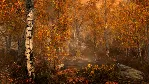 The Elder Scrolls V: Skyrim Special Ed РФ+СНГ STEAM - irongamers.ru