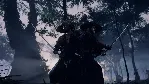 ⭐Ghost of Tsushima Director&acute;s Cut US Steam КЛЮЧ США - irongamers.ru