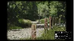 🚀 Lushfoil Photography Sim 🤖 Steam Gift Россия ⚡ мгновенно