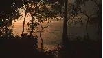 🚀 Lushfoil Photography Sim 🤖 Steam Gift Россия ⚡ мгновенно