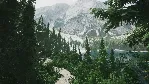 🚀 Lushfoil Photography Sim 🤖 Steam Gift Россия ⚡ мгновенно
