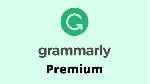 Grammarly Premium Business (12 МЕСЯЦЕВ) (GLOBAL) - irongamers.ru