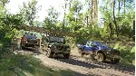 Forza Horizon 3 Ultimate Edition | Xbox One & Series - irongamers.ru