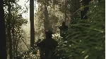 Lushfoil Photography Sim 💎 АВТОДОСТАВКА STEAM GLOBAL МГНОВЕННО ЛИЦЕНЗИЯ