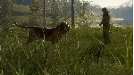 theHunter: Call of the Wild™ - Bloodhound DLC*STEAM - irongamers.ru