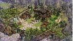 Age of Empires II: DE - Victors and Vanquished * RU/СНГ - irongamers.ru