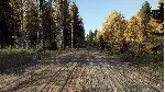 DiRT Rally 2.0 - Finland (Rally Location) DLC STEAM