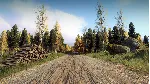 DiRT Rally 2.0 - Finland (Rally Location) DLC STEAM