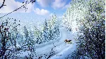 DiRT Rally 2.0 - Monte Carlo (Rally Location) DLC STEAM
