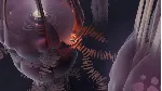 Cocoon✅ STEAM GIFT AUTO✅ RU+МИР