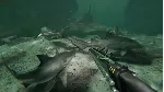Death in the Water 2✅ STEAM GIFT AUTO✅ RU+МИР