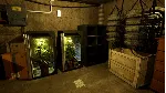 Drug Dealer Simulator 2 STEAM GIFT AUTO RU+МИР - irongamers.ru