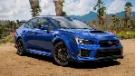 Forza Horizon 5 2019 SUBARU STI S209✅ STEAM GIFT AUTO✅ RU+МИР