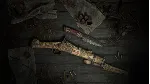 Hunt: Showdown - Bayou Wraith✅ STEAM GIFT AUTO✅ RU+МИР