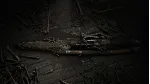 Hunt: Showdown - Cold Blooded✅ STEAM GIFT AUTO✅ RU+МИР