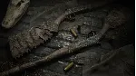Hunt: Showdown - Cold Blooded✅ STEAM GIFT AUTO✅ RU+МИР