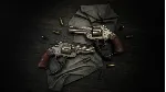 Hunt: Showdown - Northern Justice STEAM GIFT AUTO RU+МИР - irongamers.ru