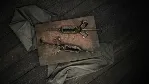 Hunt: Showdown 1896 - Bones and Bounties✅ STEAM GIFT AUTO✅ RU+МИР