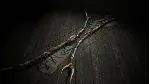Hunt: Showdown 1896 - Last of the Herd✅ STEAM GIFT AUTO✅ RU+МИР