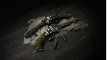 Hunt: Showdown 1896 - Taker of Trophies✅ STEAM GIFT AUTO✅ RU+МИР