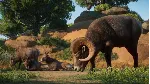 Planet Zoo: Americas Animal Pack✅ STEAM GIFT AUTO✅ RU+МИР