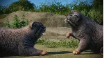 Planet Zoo: Zookeepers Animal Pack✅ STEAM GIFT AUTO✅ RU+МИР