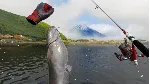 Real VR Fishing STEAM GIFT AUTO RU+МИР - irongamers.ru