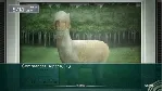 STEINS;GATE ELITE - Bonus Content Bundle STEAM GIFT AUTO RU+МИР - irongamers.ru