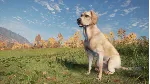 theHunter: Call of the Wild™ - Labrador Retriever✅ STEAM GIFT AUTO✅ RU+МИР