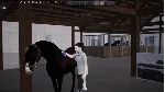 Unbridled: That Horse Game✅ STEAM GIFT AUTO✅ RU+МИР