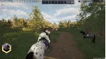 Unbridled: That Horse Game✅ STEAM GIFT AUTO✅ RU+МИР