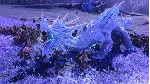 Total War: WARHAMMER III - Mother Ostankya – Shadows of Change STEAM GIFT AUTO RU+МИР - irongamers.ru