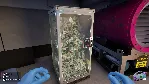 Cash Cleaner Simulator Steam Gift Россия мгновенно - irongamers.ru