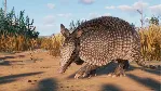 Planet Zoo: Grasslands Animal Pack Steam Ключ РФ+Мир