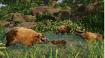 Planet Zoo: Tropical Pack Steam Ключ РФ+Мир +Бонус