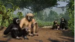 Planet Zoo: Tropical Pack Steam Ключ РФ+Мир +Бонус