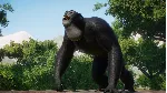 Planet Zoo: Conservation Pack Steam Ключ РФ+Мир +Бонус
