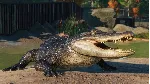 Planet Zoo: North America Animal Pack Steam Ключ РФ+Мир - irongamers.ru