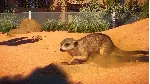 Planet Zoo: Africa Pack Steam Ключ РФ+Мир +Бонус - irongamers.ru