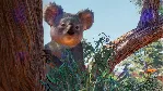 Planet Zoo: Australia Pack Steam Ключ РФ+Мир +Бонус - irongamers.ru
