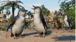 Planet Zoo: Oceania Pack Steam Ключ РФ+Мир +Бонус - irongamers.ru